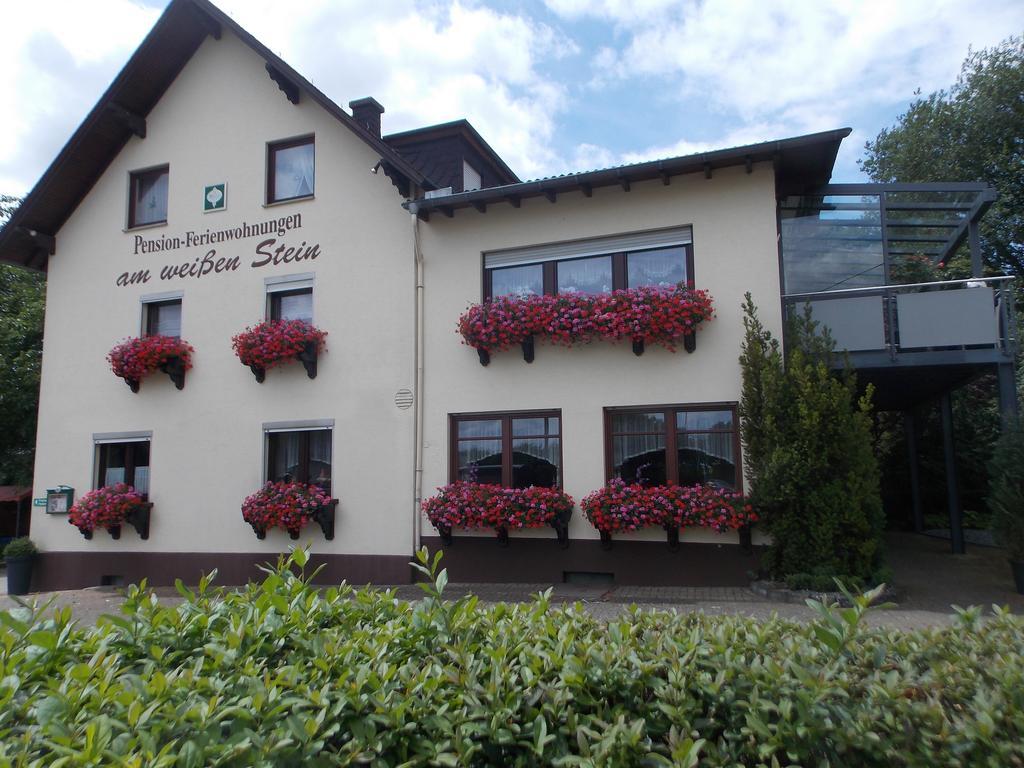 Gaestehaus "Am Weissen Stein" Cochem Kültér fotó